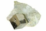 Natural Pyrite Cube In Rock - Navajun, Spain #152288-2